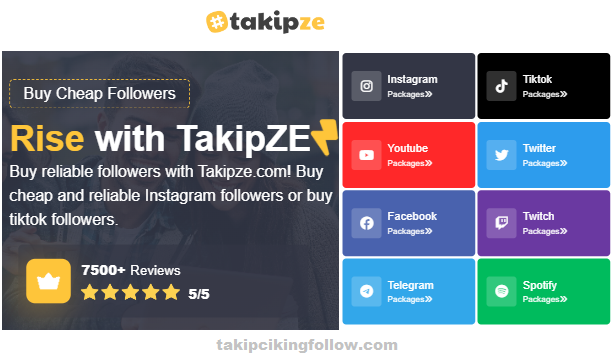 takipze com tiktok followers